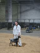 Cassie as a dry yearling at NWODGA in 2025