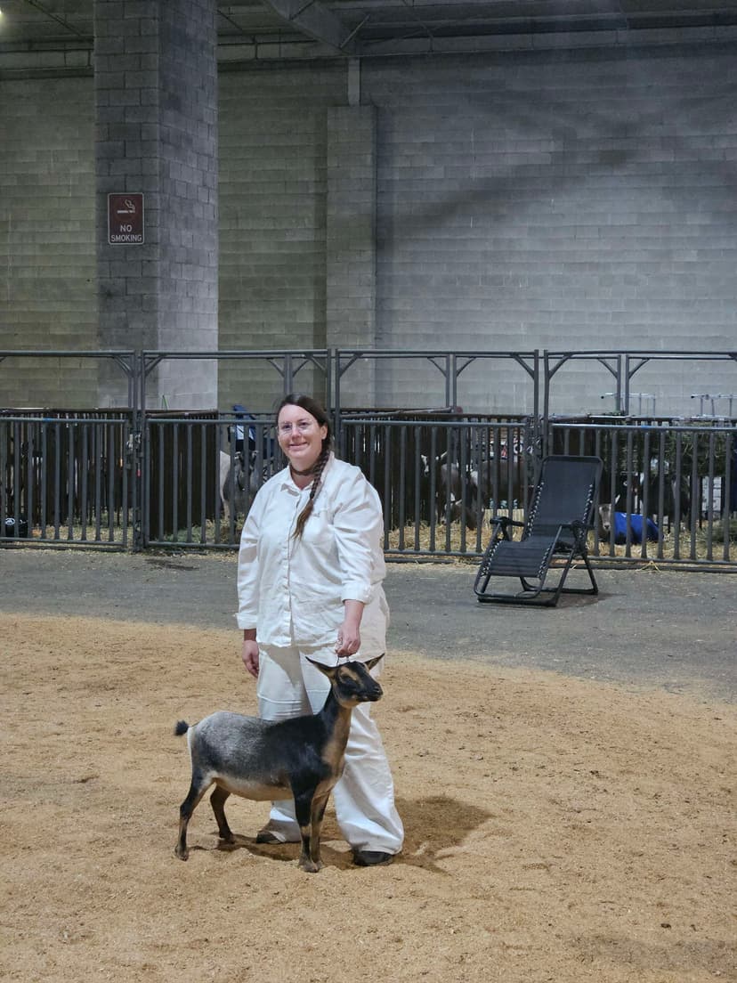 Cassie as a dry yearling at NWODGA in 2025