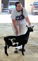 Corrie as a yearling FF at Jackson County Fair