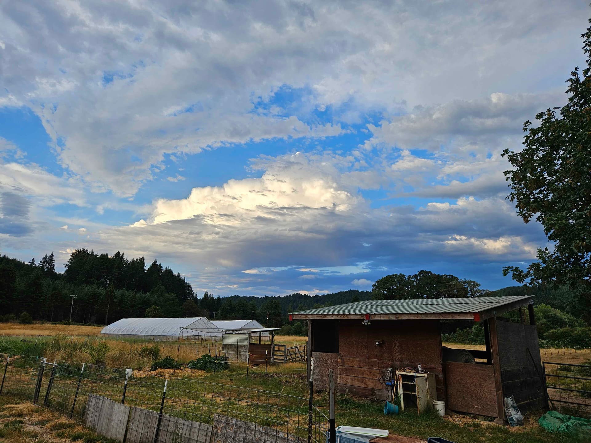 The sky above the farm